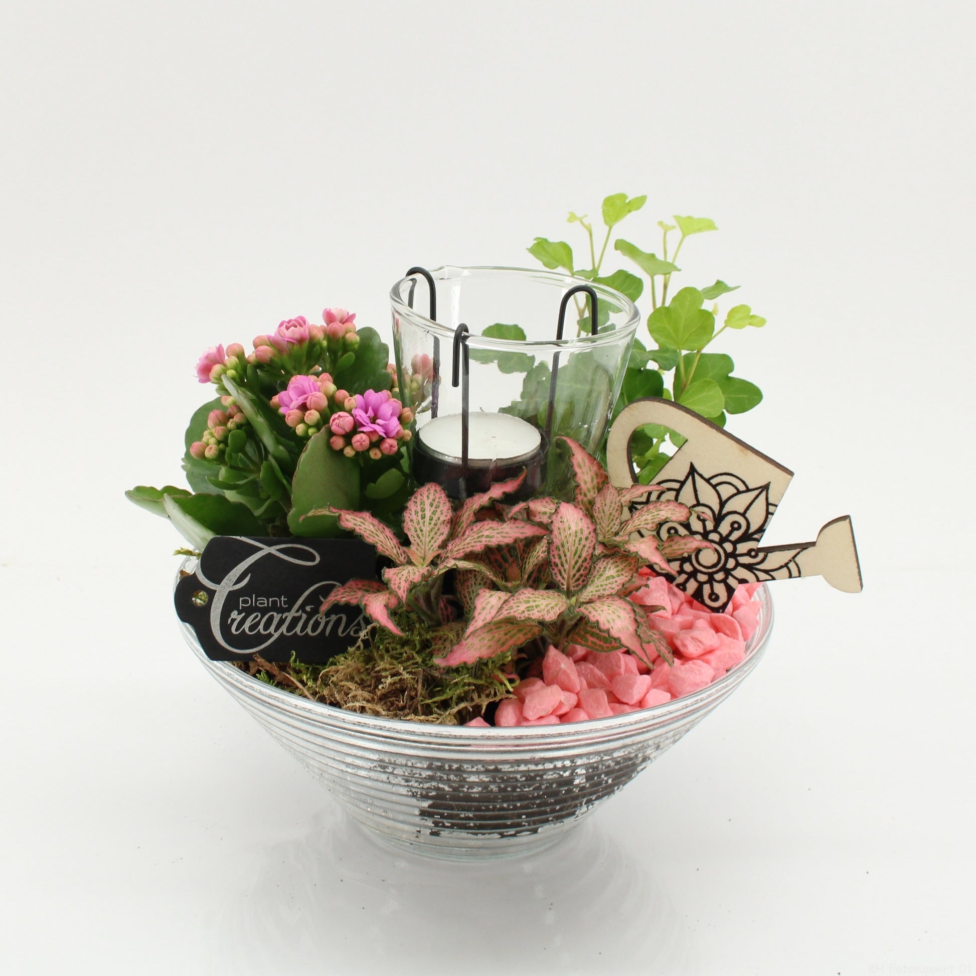 FDCR-2603RZ Basic Fundamentals 20cm 20cm Pot