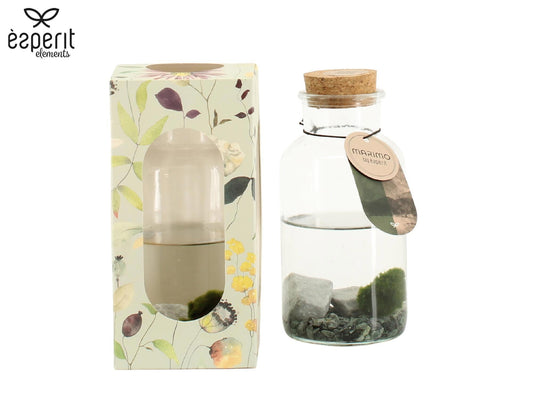 arr. Water plant Terrace pond wood 18cm 8cm Pot