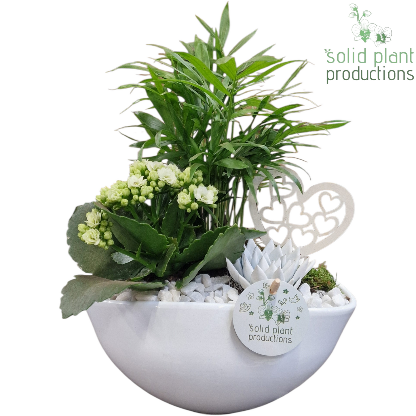 CE005 Evelyn White VM 35cm 22cm Pot