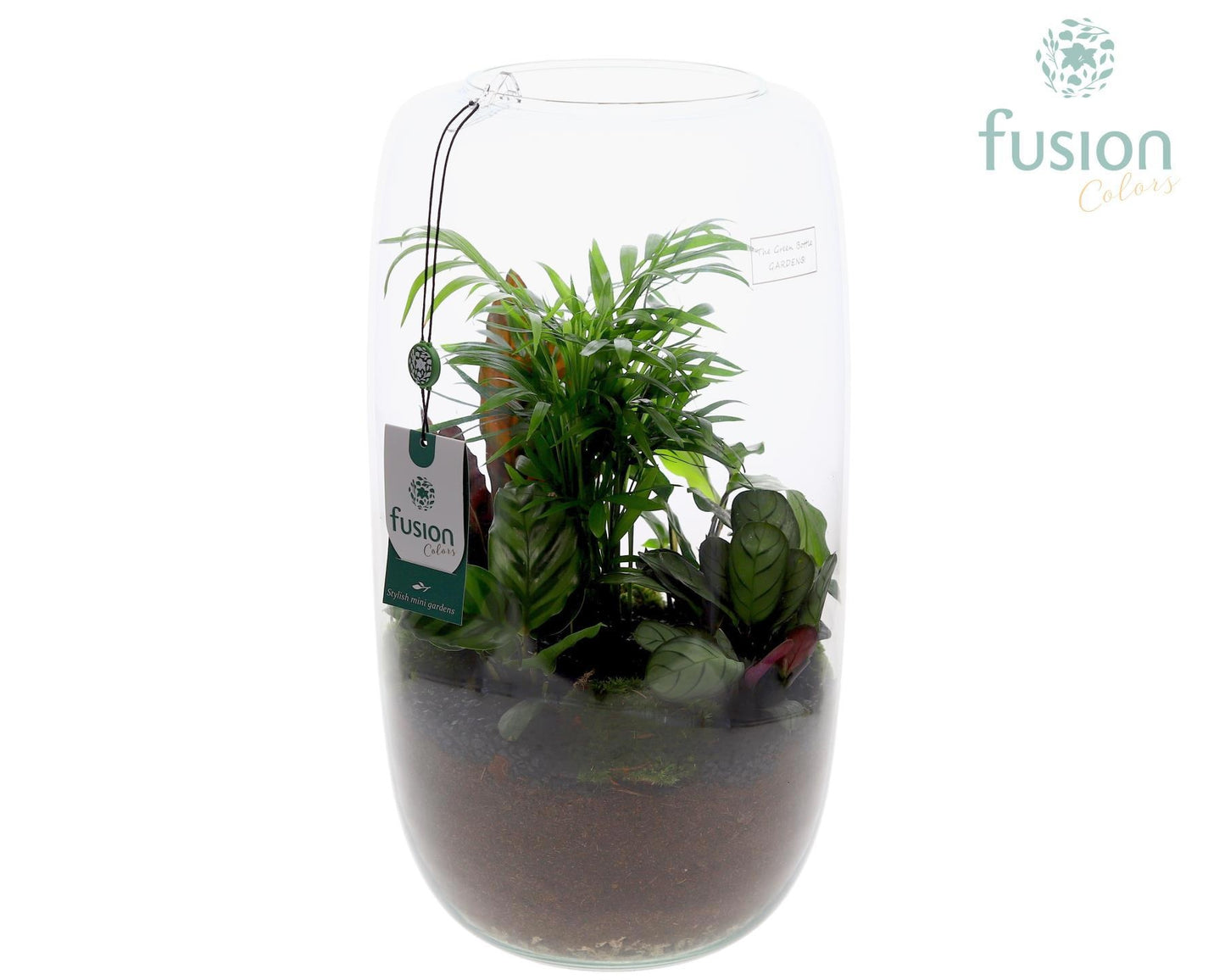 Green Bottle Isabella XXLarge met Groene Planten arrangement 43cm 23cm Pot