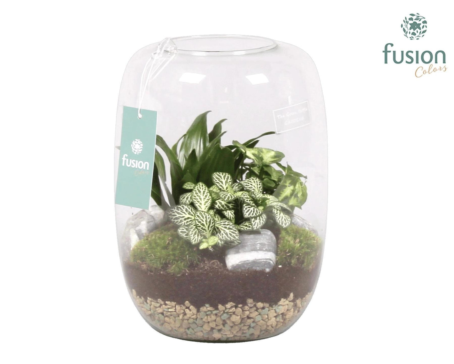 Green Bottle Isabella Large met Groene Planten Arrangement 25cm 19cm Pot