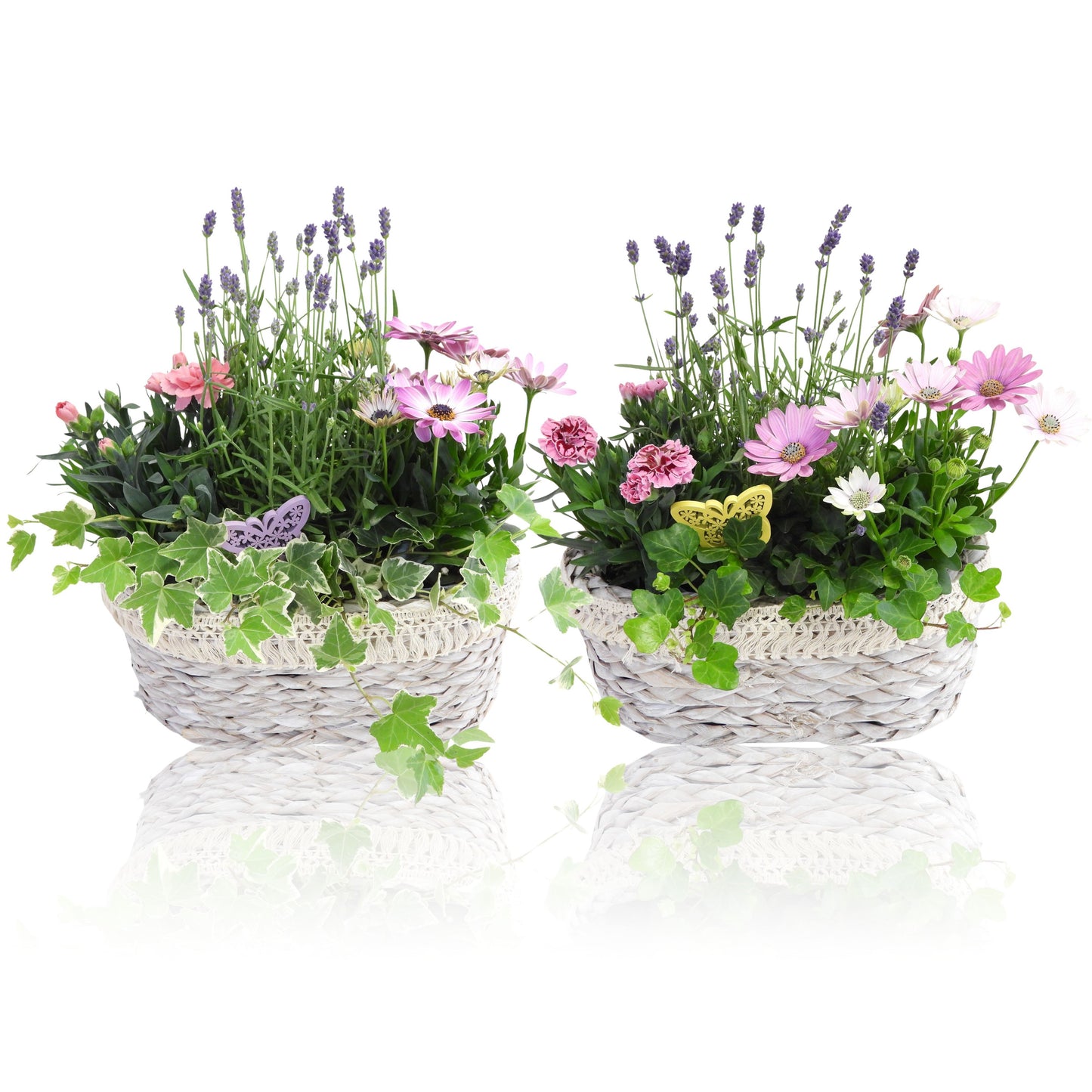 Outdoor arrangement 20cm 29cm Pot