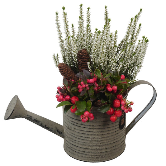 Outdoor arrangement 32cm 34cm Pot