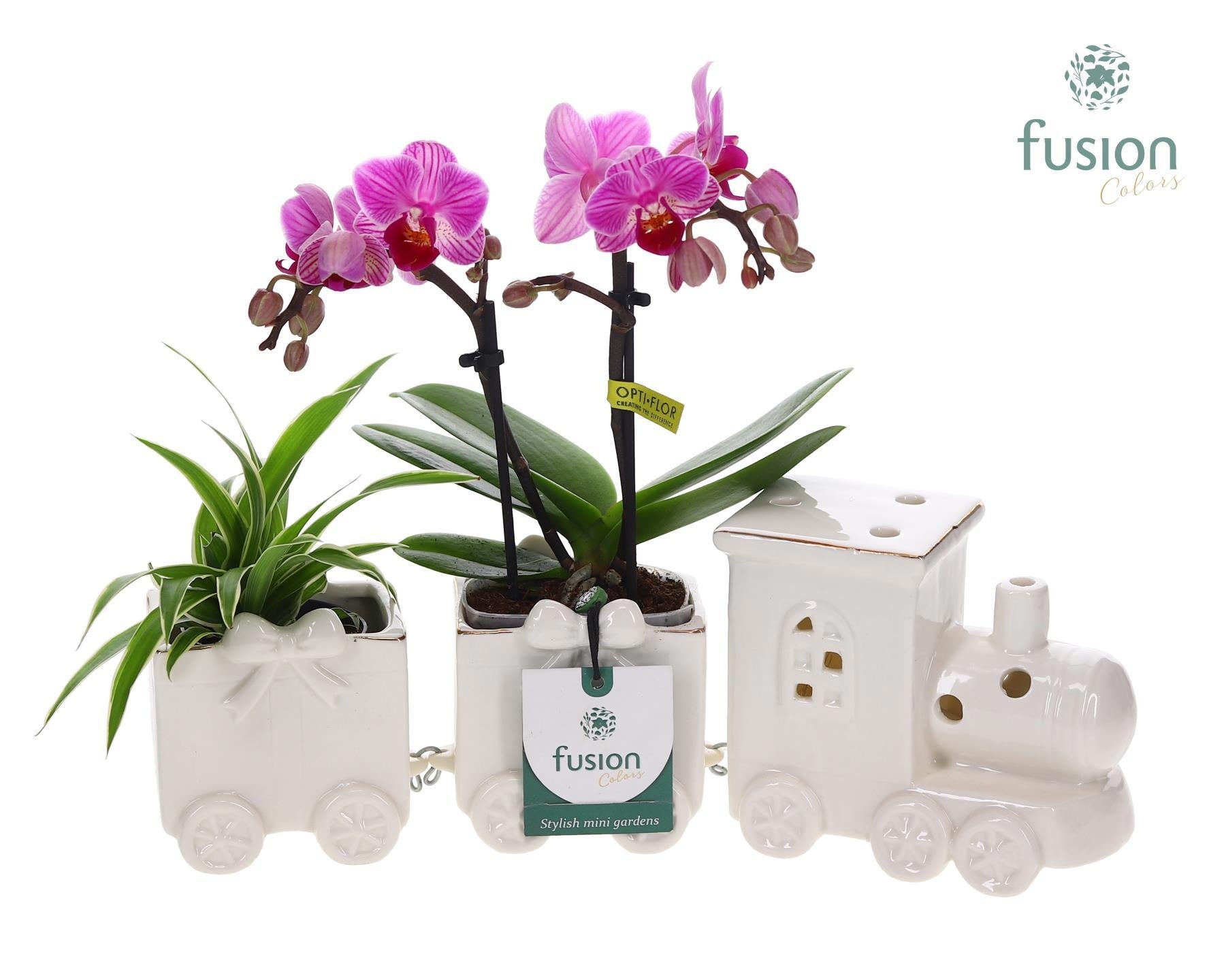 Keramiek Trein Medium met Arrangement 25cm 34cm Pot