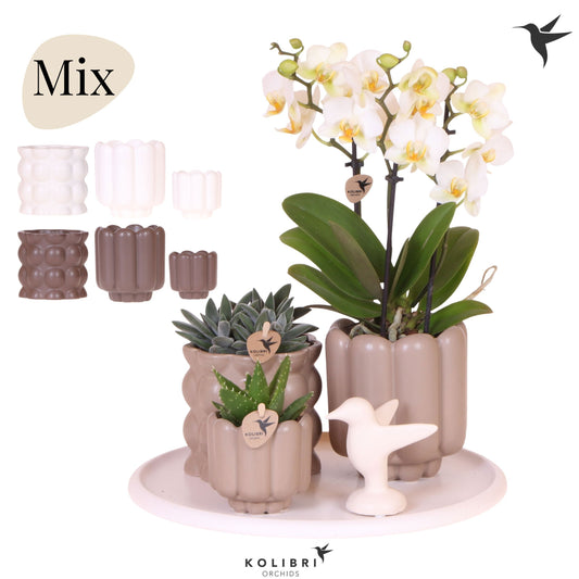 Kolibri Gift Set large Slow Living 40cm 30cm Pot