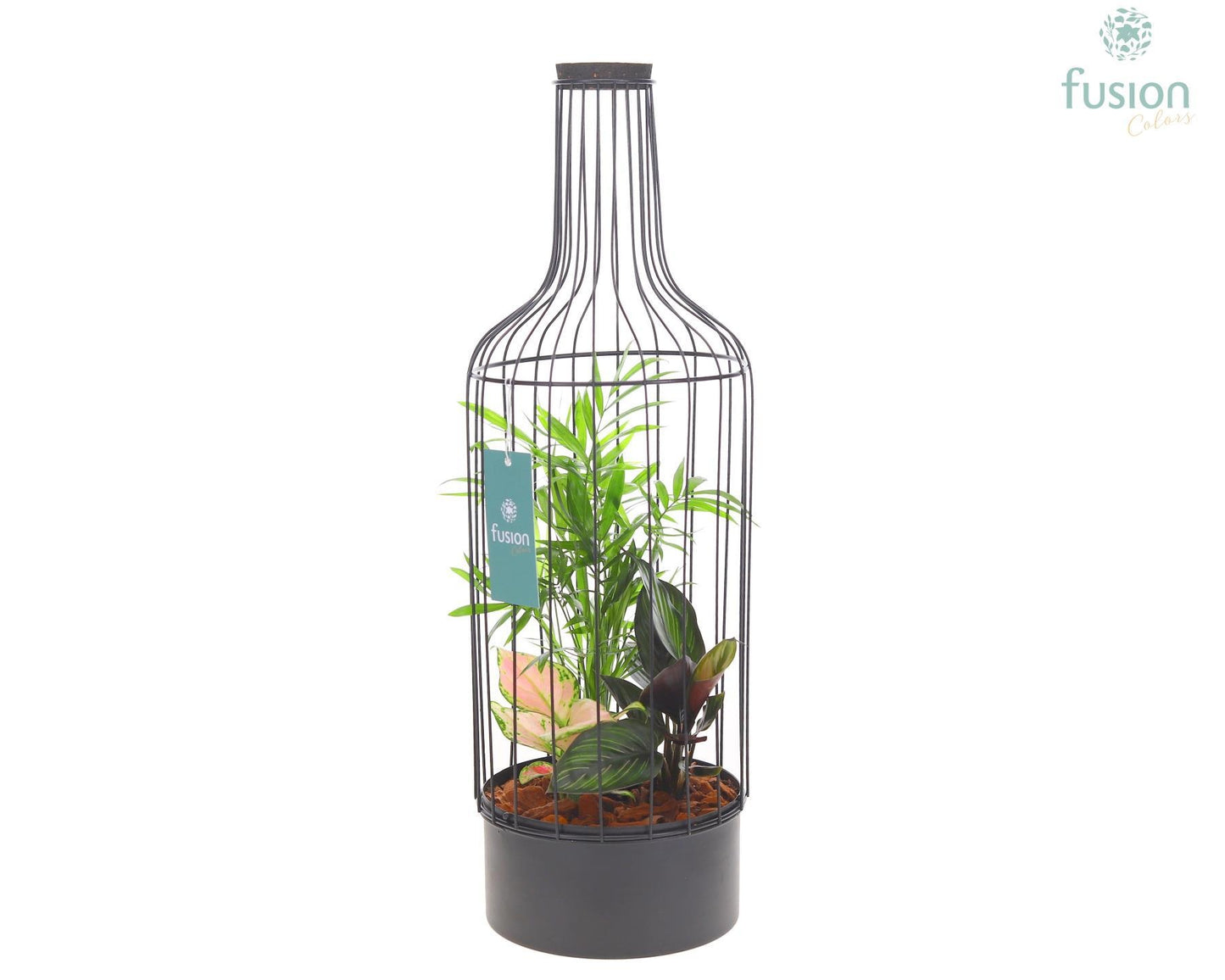 Fusioncolors BV Metaal fles zwart Large met Trendy planten Pack of 5