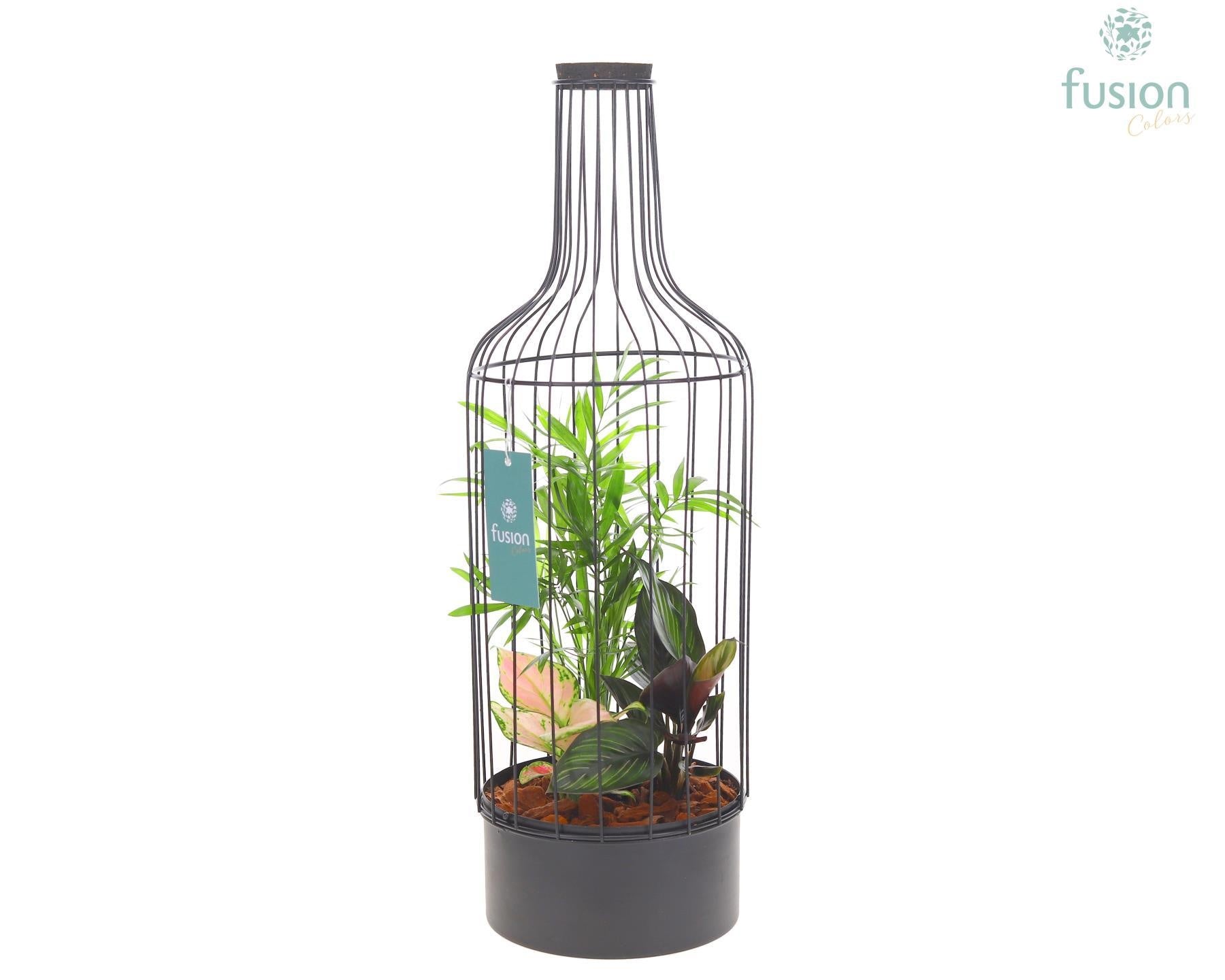 Fusioncolors BV Metaal fles zwart Large met Trendy planten Pack of 5
