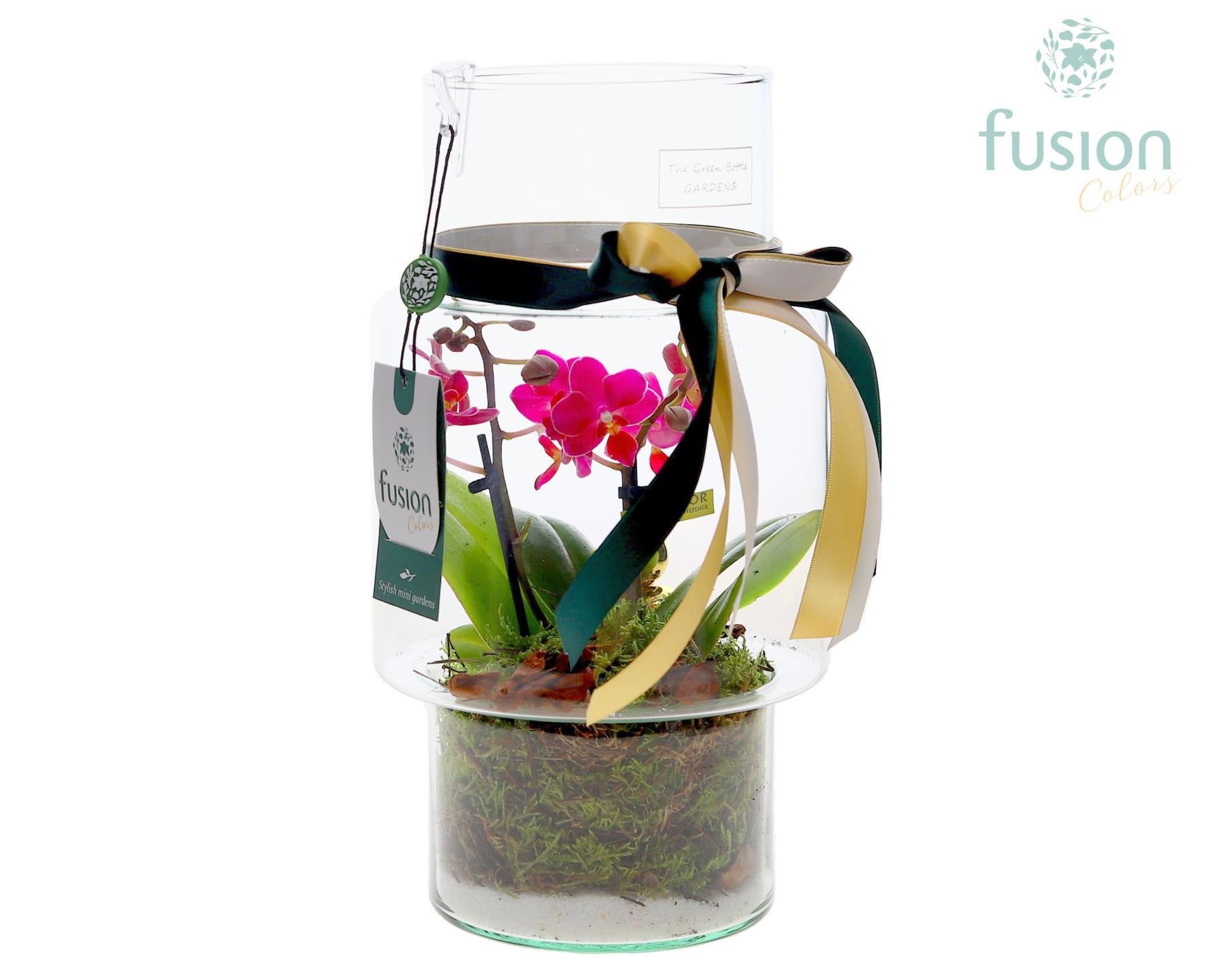 Fusioncolors BV Green Bottle Sara Medium met Phalaenopsis Pack of 4