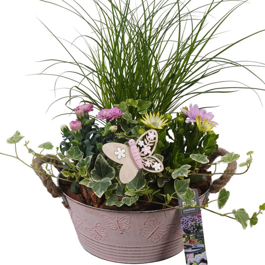 Outdoor arrangement 46cm 23cm Pot