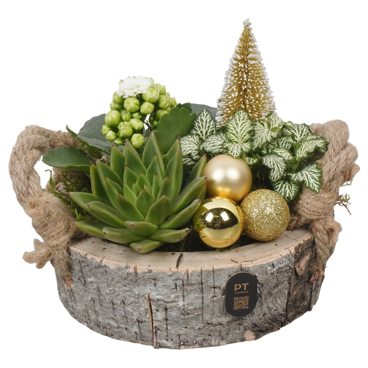 Christmas arrangement 16cm 18cm Pot