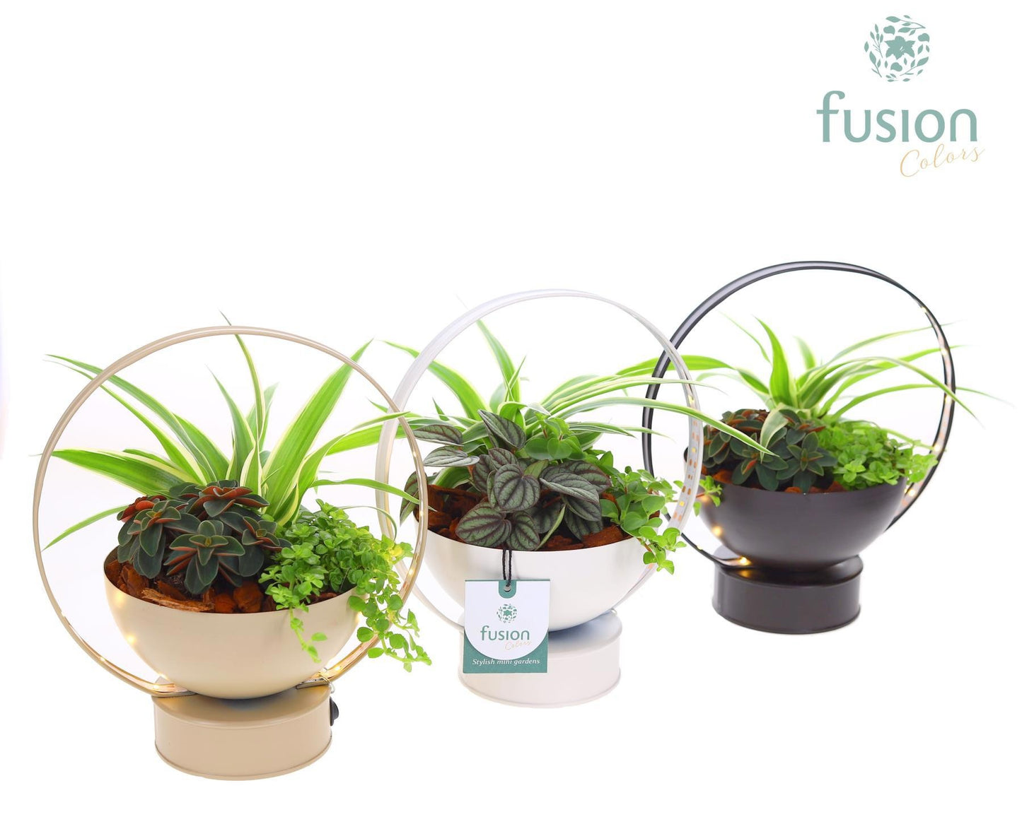 Fusioncolors BV Zinken LED planter schaal met arrangement 3pp Pack of 7