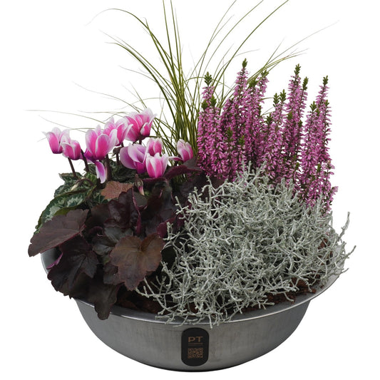 Outdoor arrangement 42cm 29cm Pot