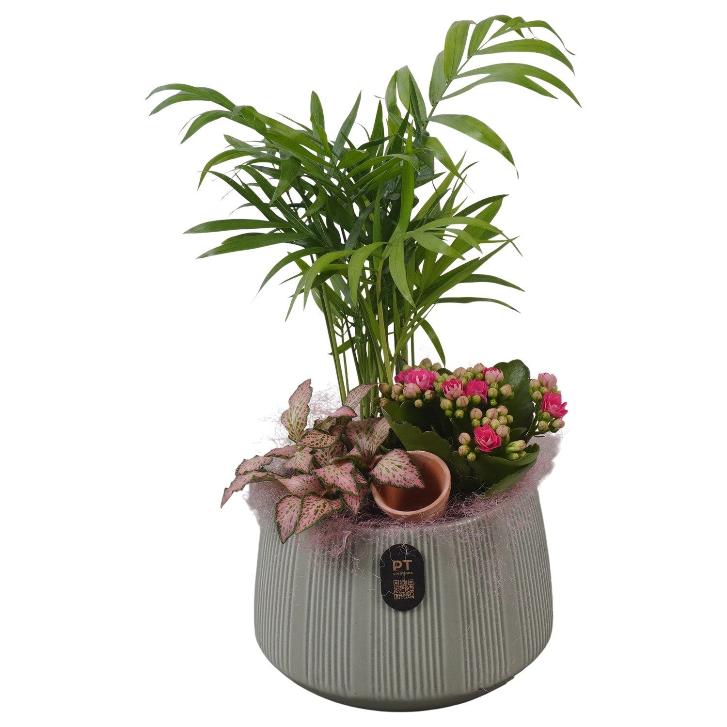 Indoor arrangement 31cm 14cm Pot