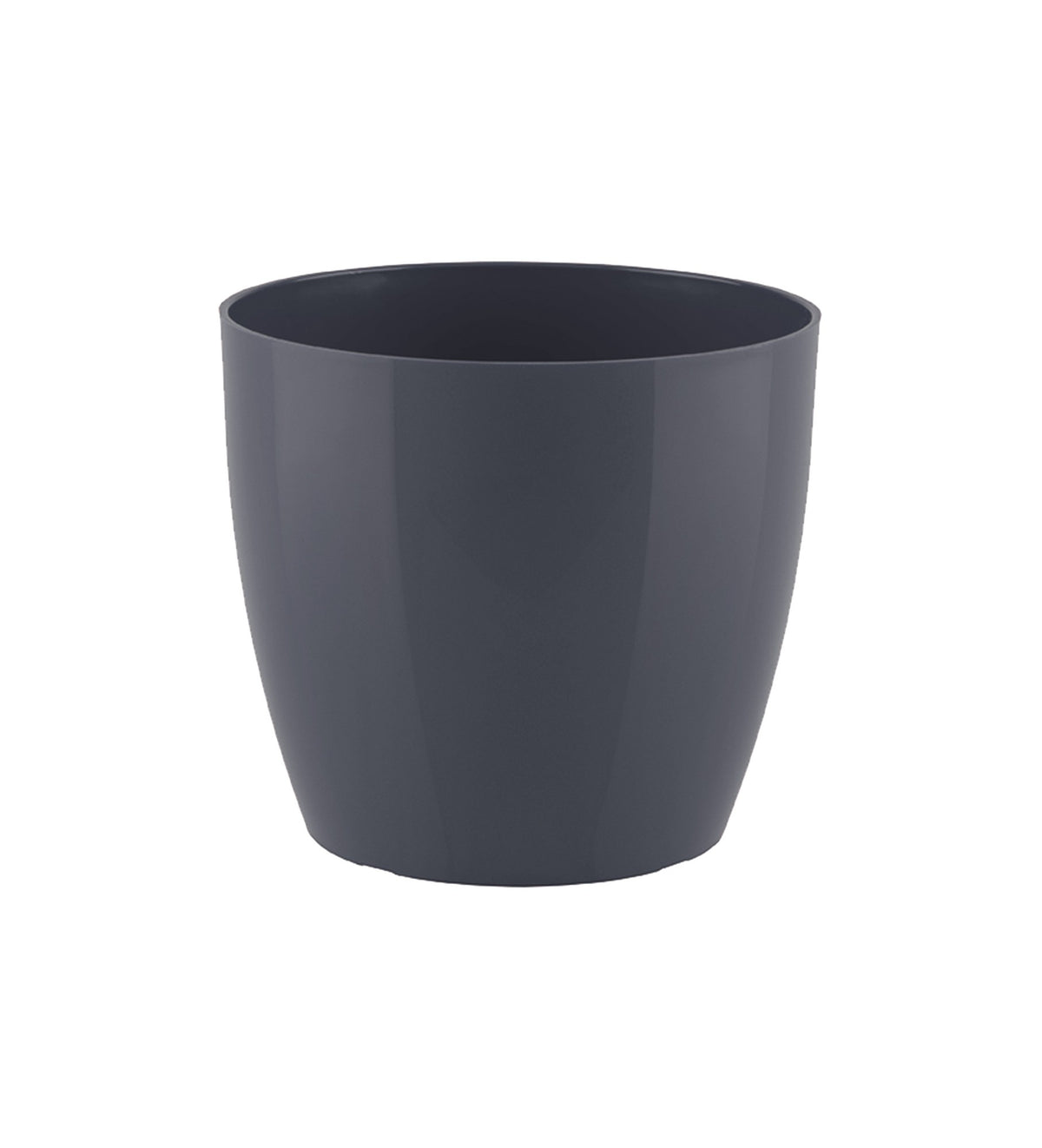 Plants 34cm 36cm Pot