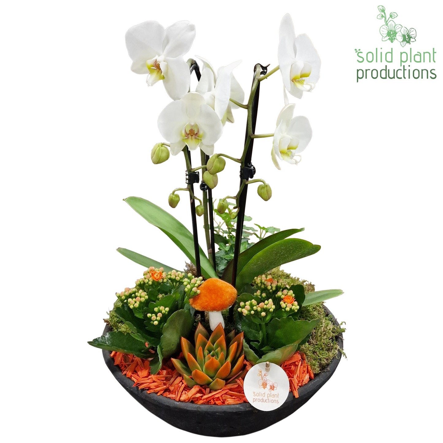 PE012 Ebbi Orange Deluxe Autumn 55cm 32cm Pot