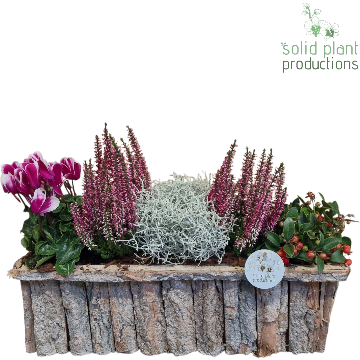 Outdoor arrangement 38cm 44cm Pot