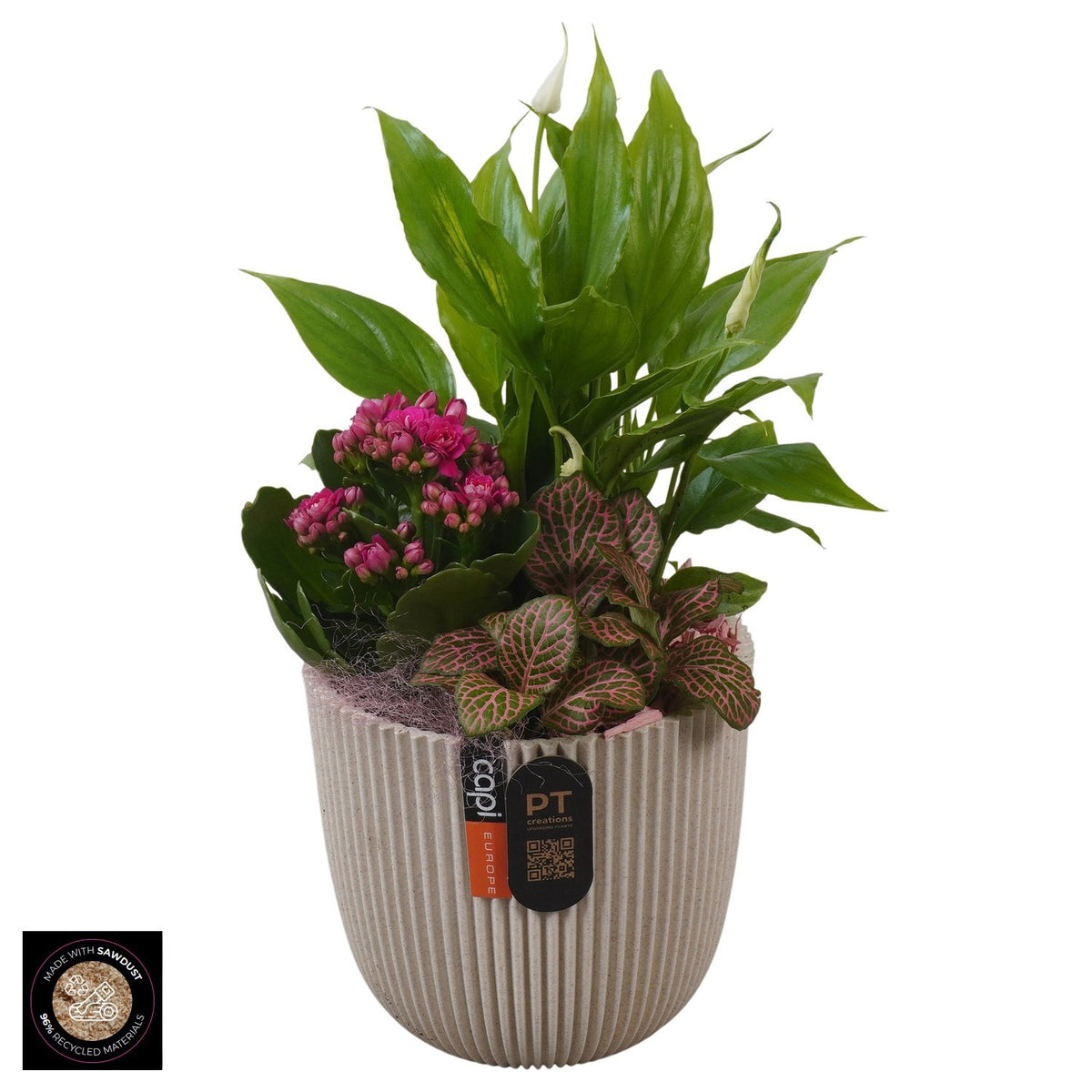Indoor arrangement 30cm 13cm Pot