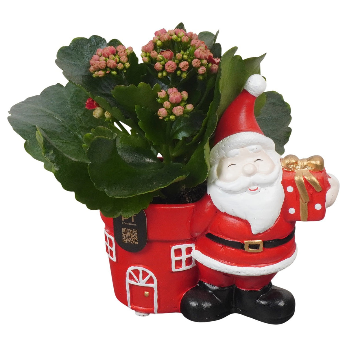 Christmas arrangement 16cm 13cm Pot