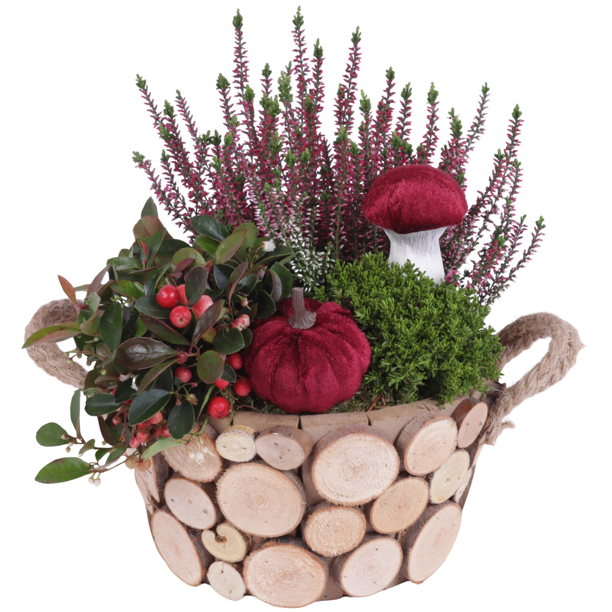 Outdoor arrangement 25cm 22cm Pot