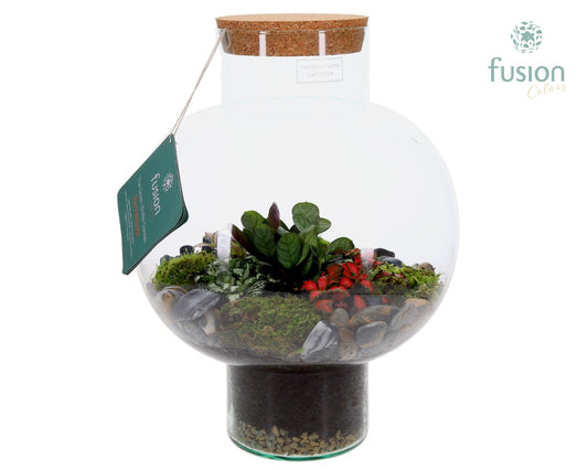 Green Bottle Laura Large met Terrarium arrangement 43cm 31cm Pot
