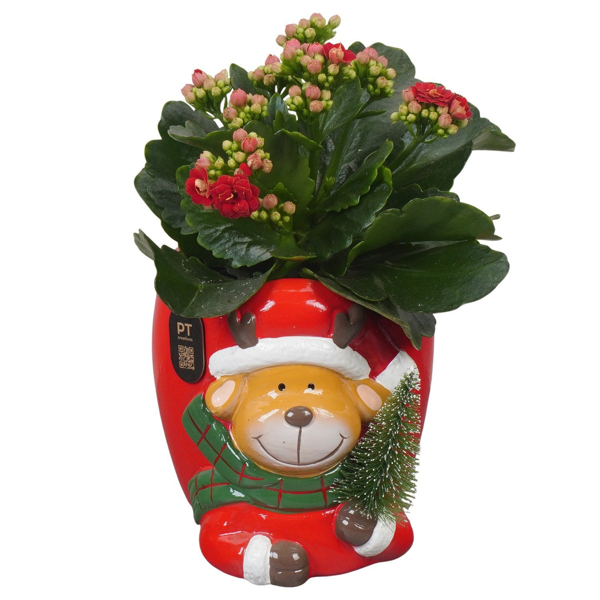 Christmas arrangement 19cm 13cm Pot
