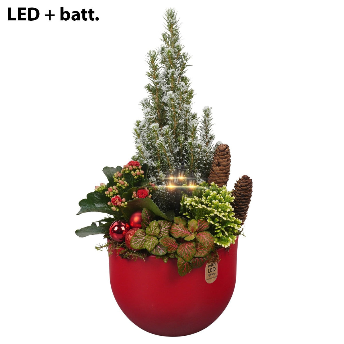 Christmas arrangement 46cm 19cm Pot