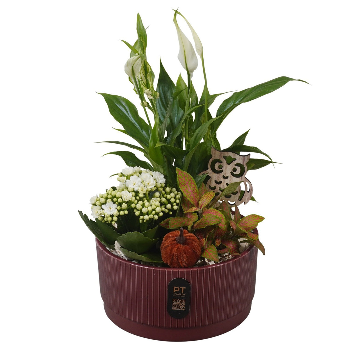 Indoor arrangement 35cm 19cm Pot