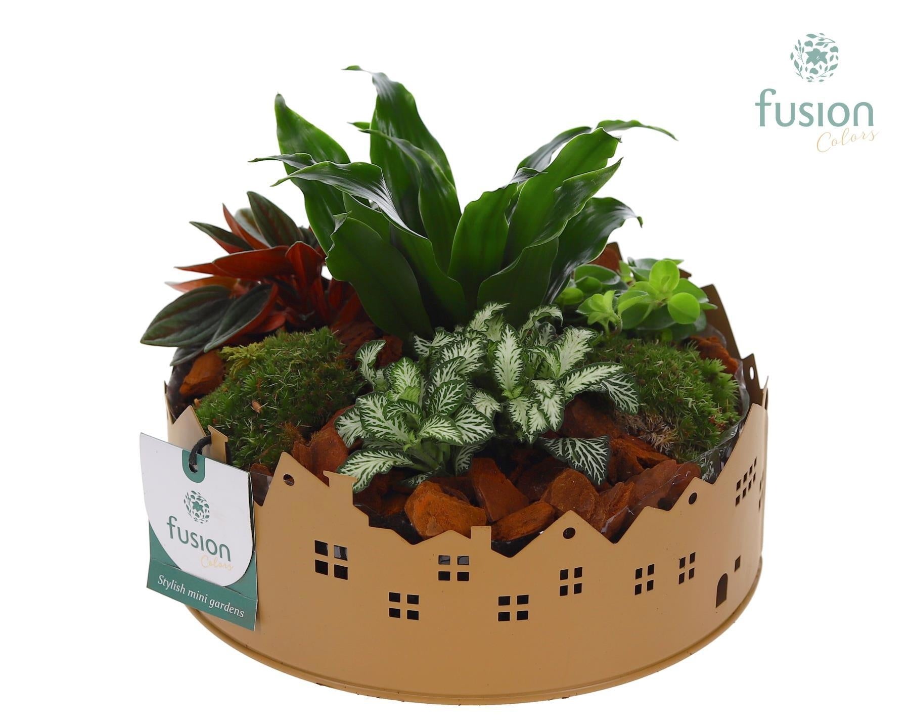 Zinken schaal Huisjes Medium met arrangement 15cm 19cm Pot