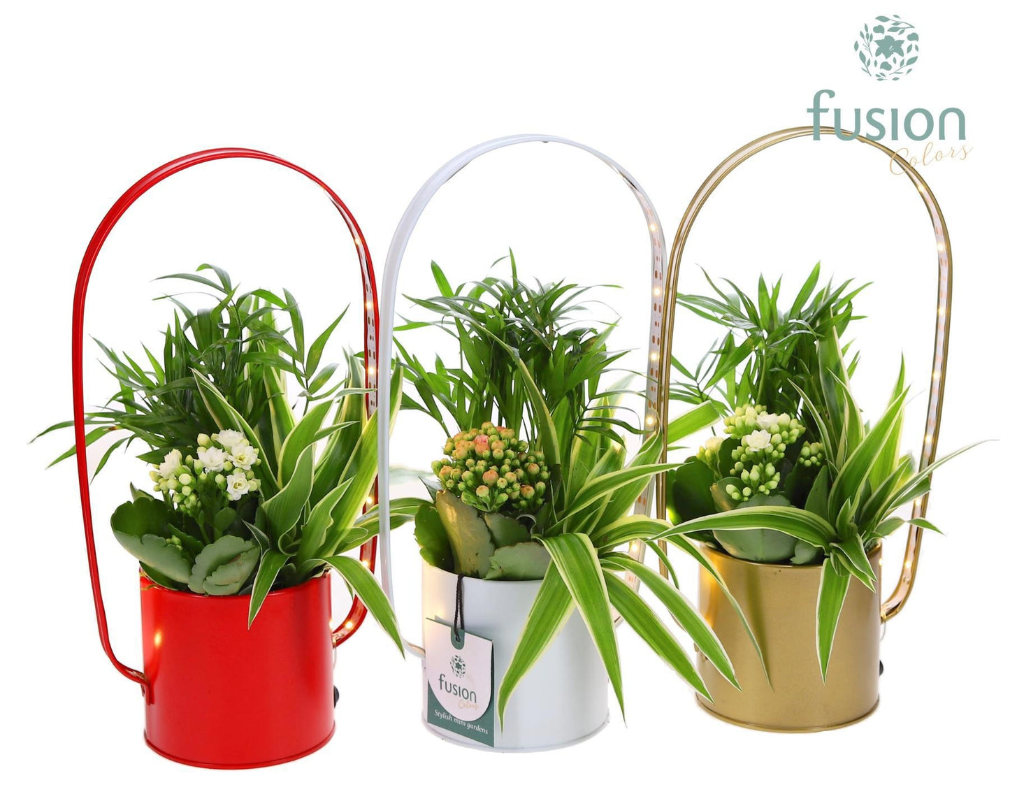 Fusioncolors BV Zinken LED planter boog met Arrangement 3pp Pack of 1