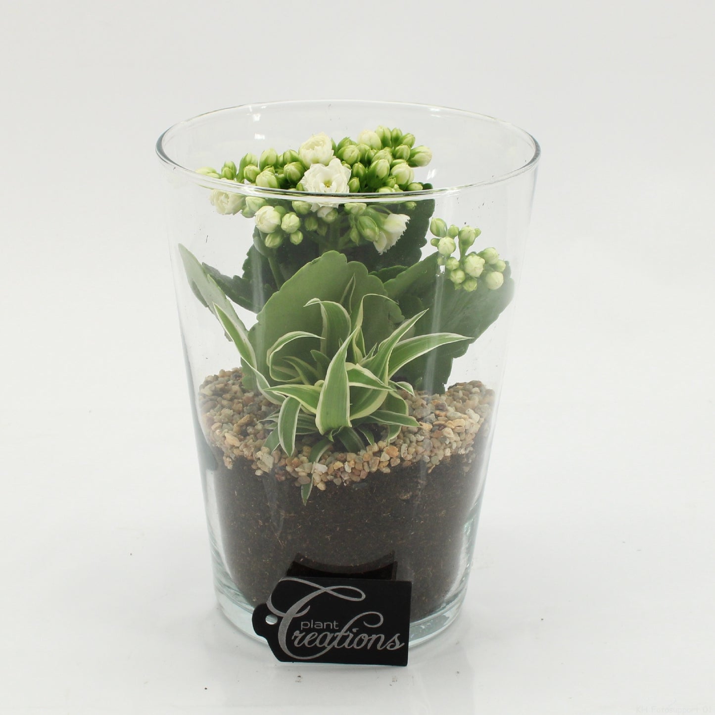 ESCR-2625W Essentials 20cm 14cm Pot