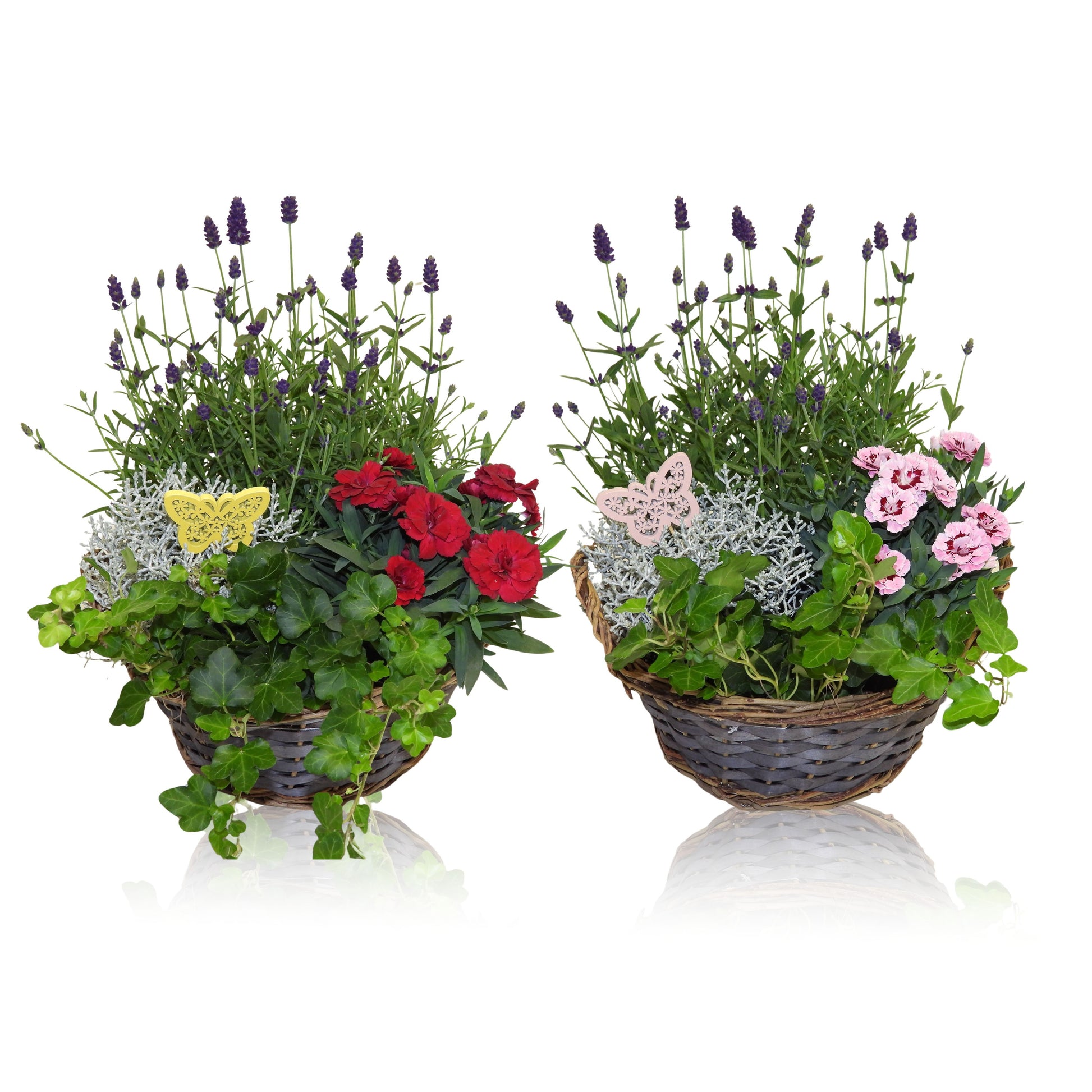 Outdoor arrangement 25cm 25cm Pot