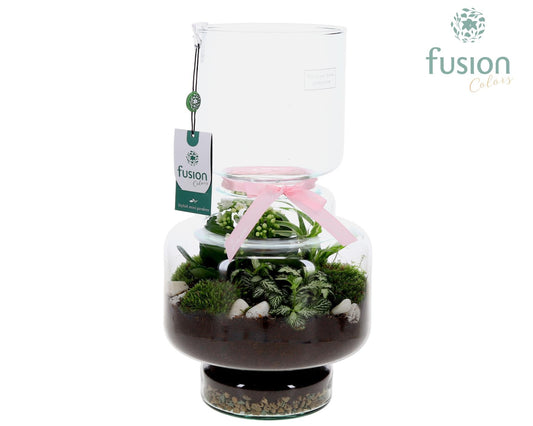 Green Bottle Lotte Large met Moederdag arrangement 43cm 22cm Pot