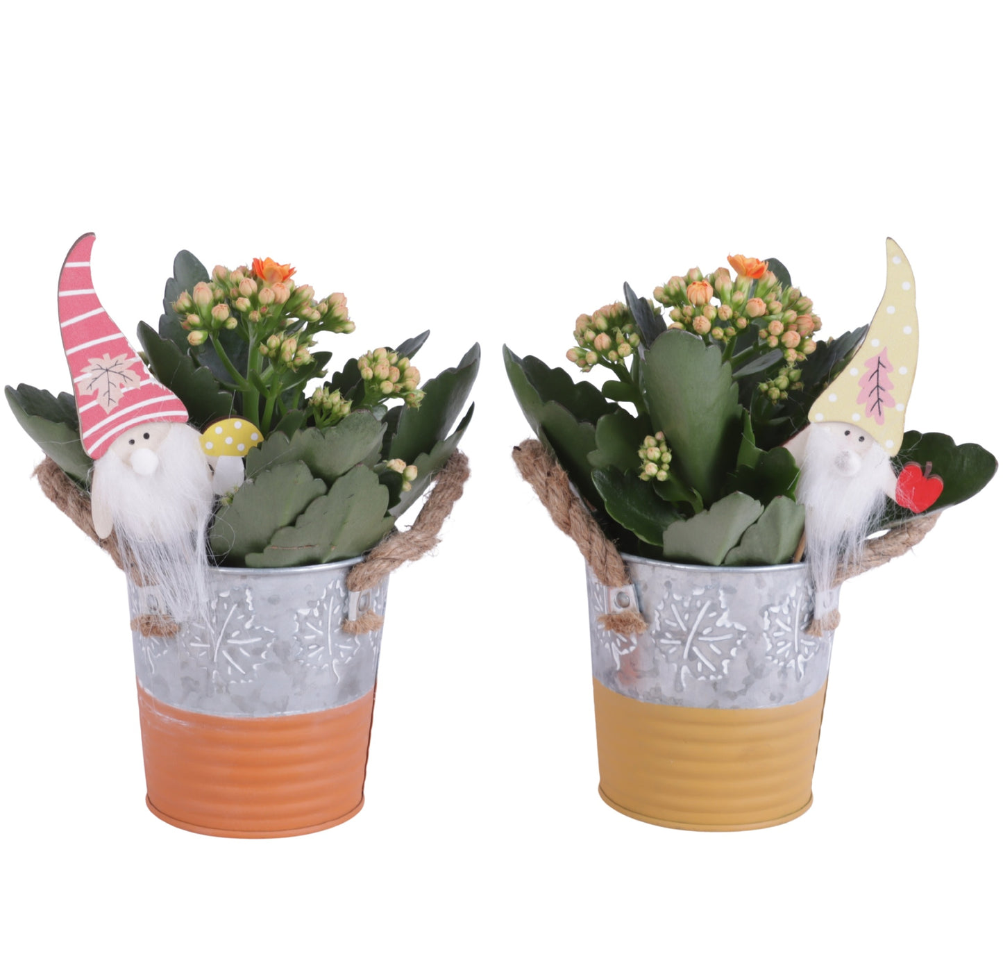 Oriental Indoor arrangement Pack of 10