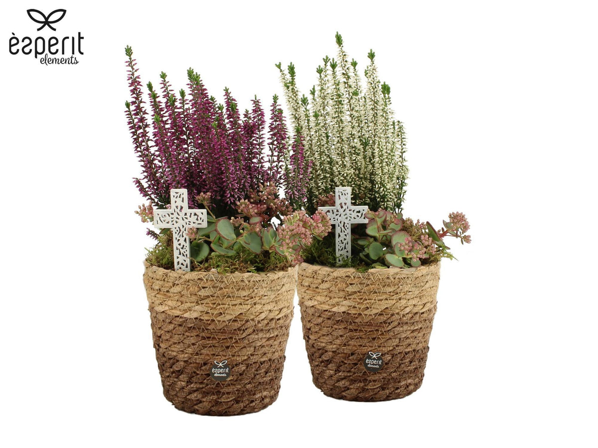 arr. all saints day 32cm 12cm Pot