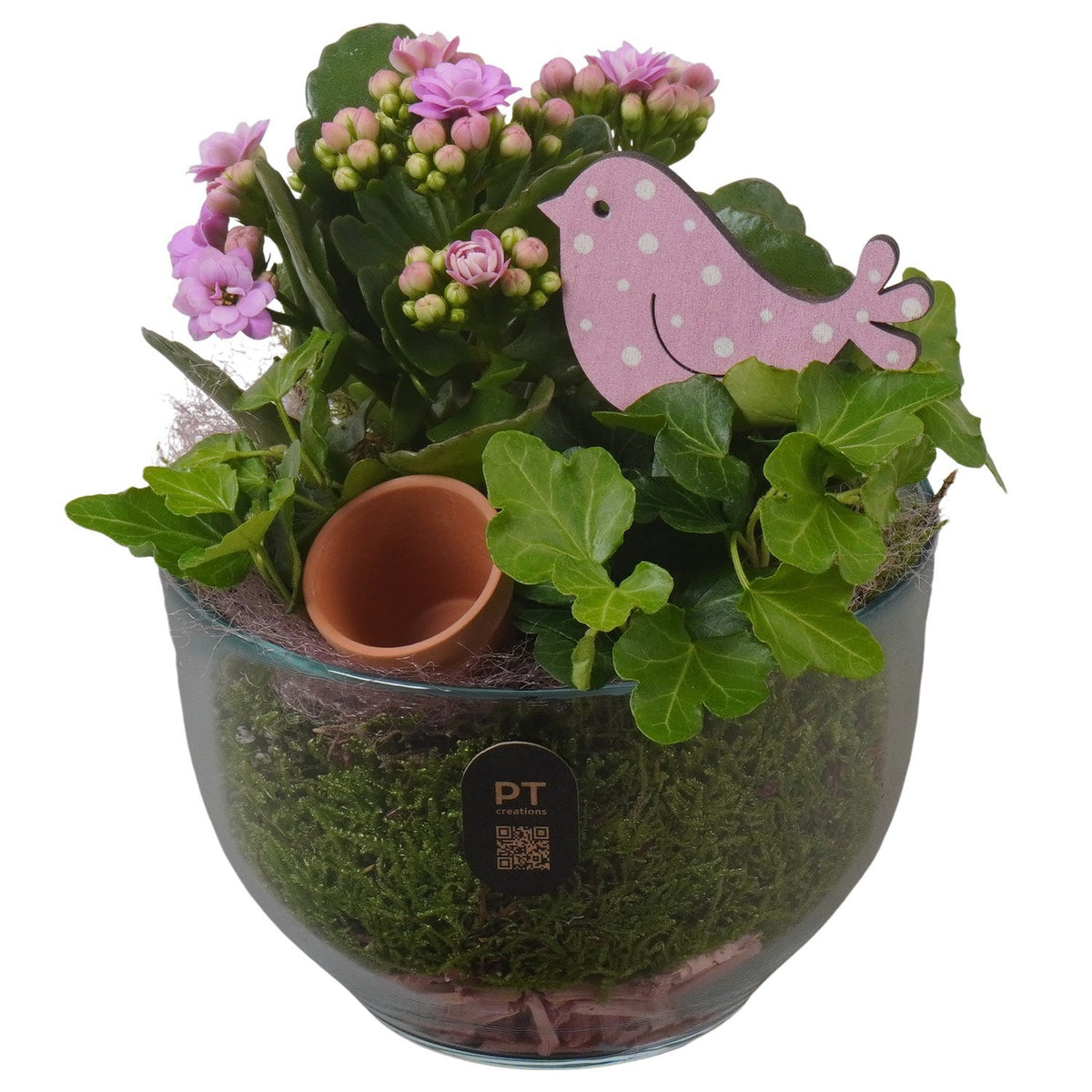 Indoor arrangement 20cm 13cm Pot