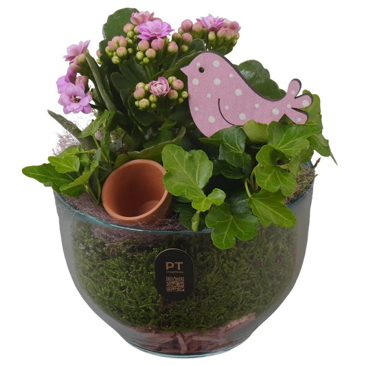 Indoor arrangement 20cm 13cm Pot
