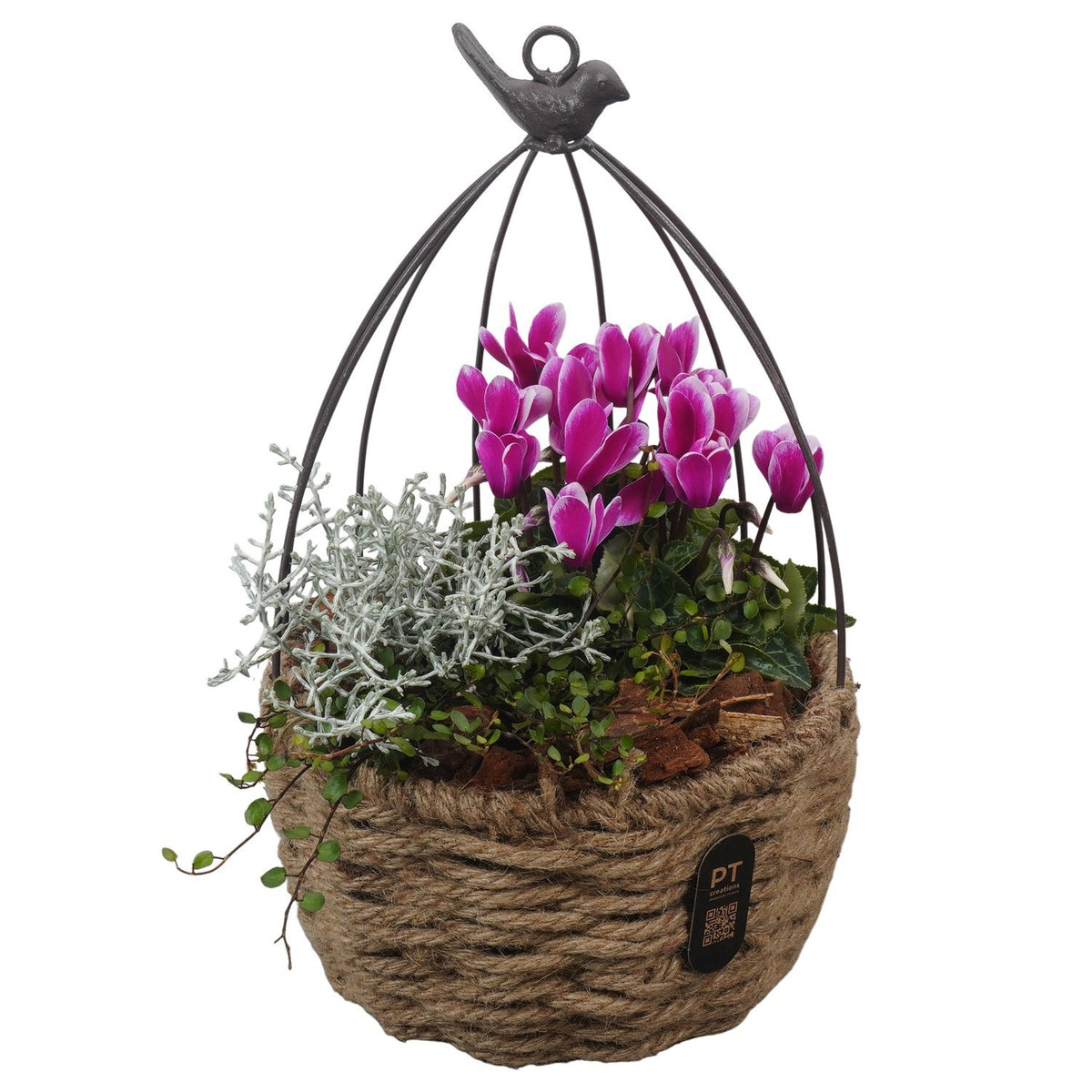 Outdoor arrangement 35cm 20cm Pot