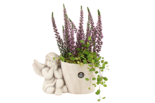 arr. all saints day 27cm 11cm Pot