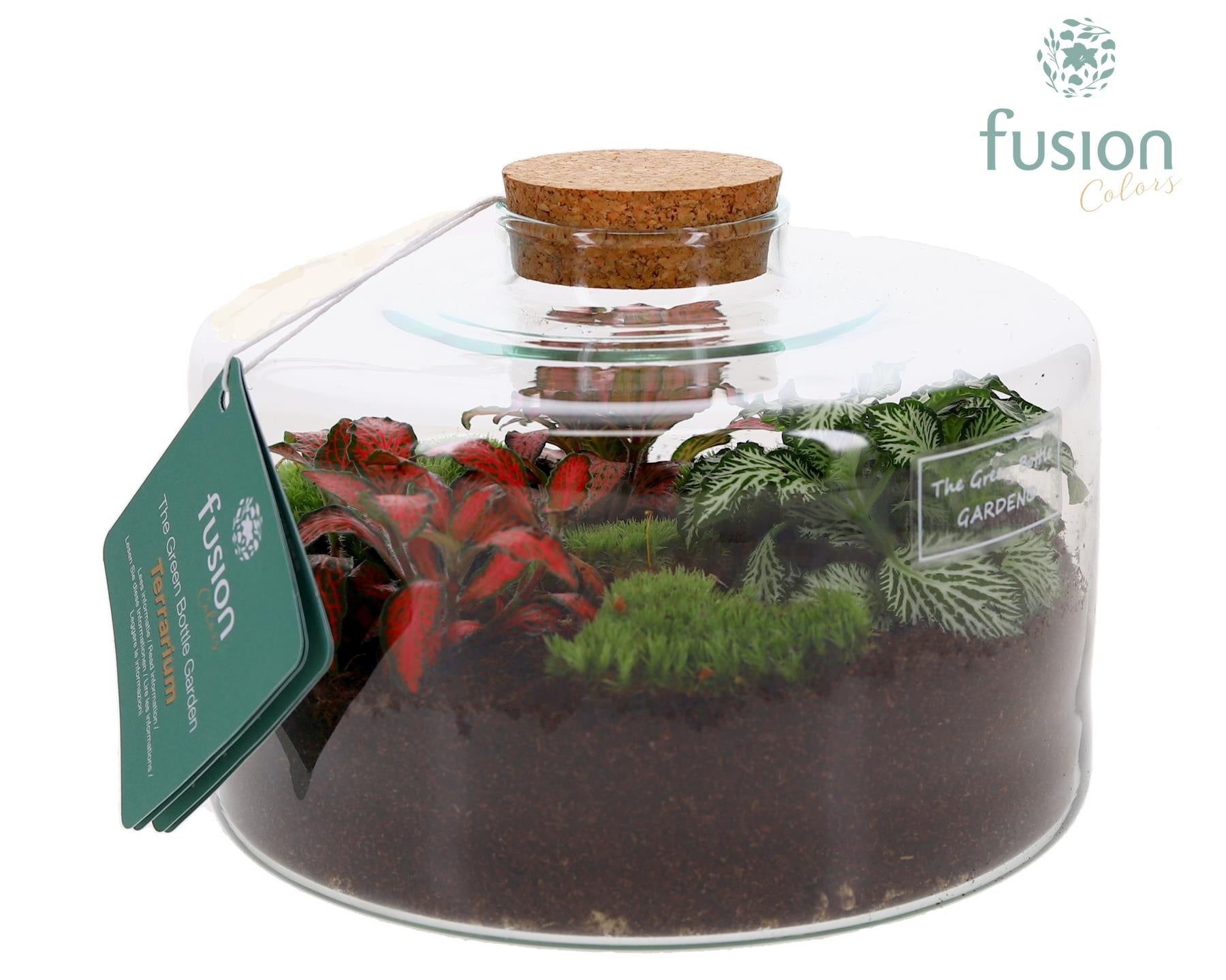 Fusioncolors BV Green Bottle Kyra Medium met Terrarium arrangement Pack of 2