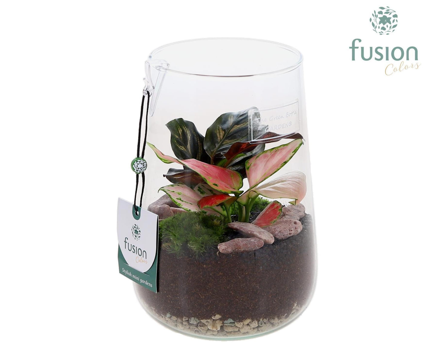 Green Bottle Deline Medium met groene planten 20cm 13cm Pot