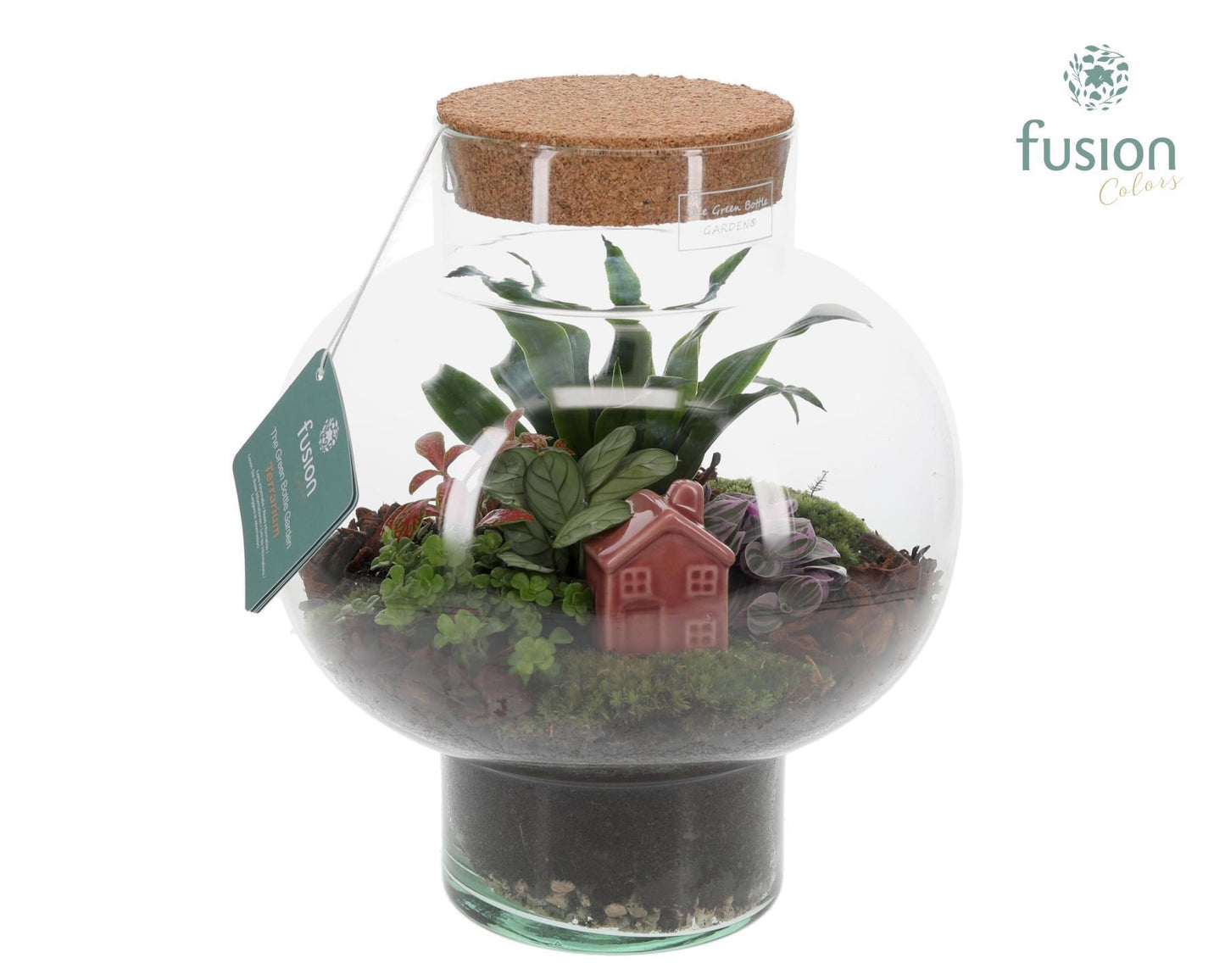 Green Bottle Laura Medium met Terrarium Arrangement 29cm 26cm Pot