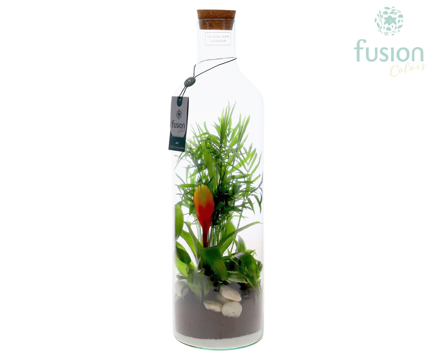 Fusioncolors BV Green Bottle Fles Large met arrangement Pack of 6