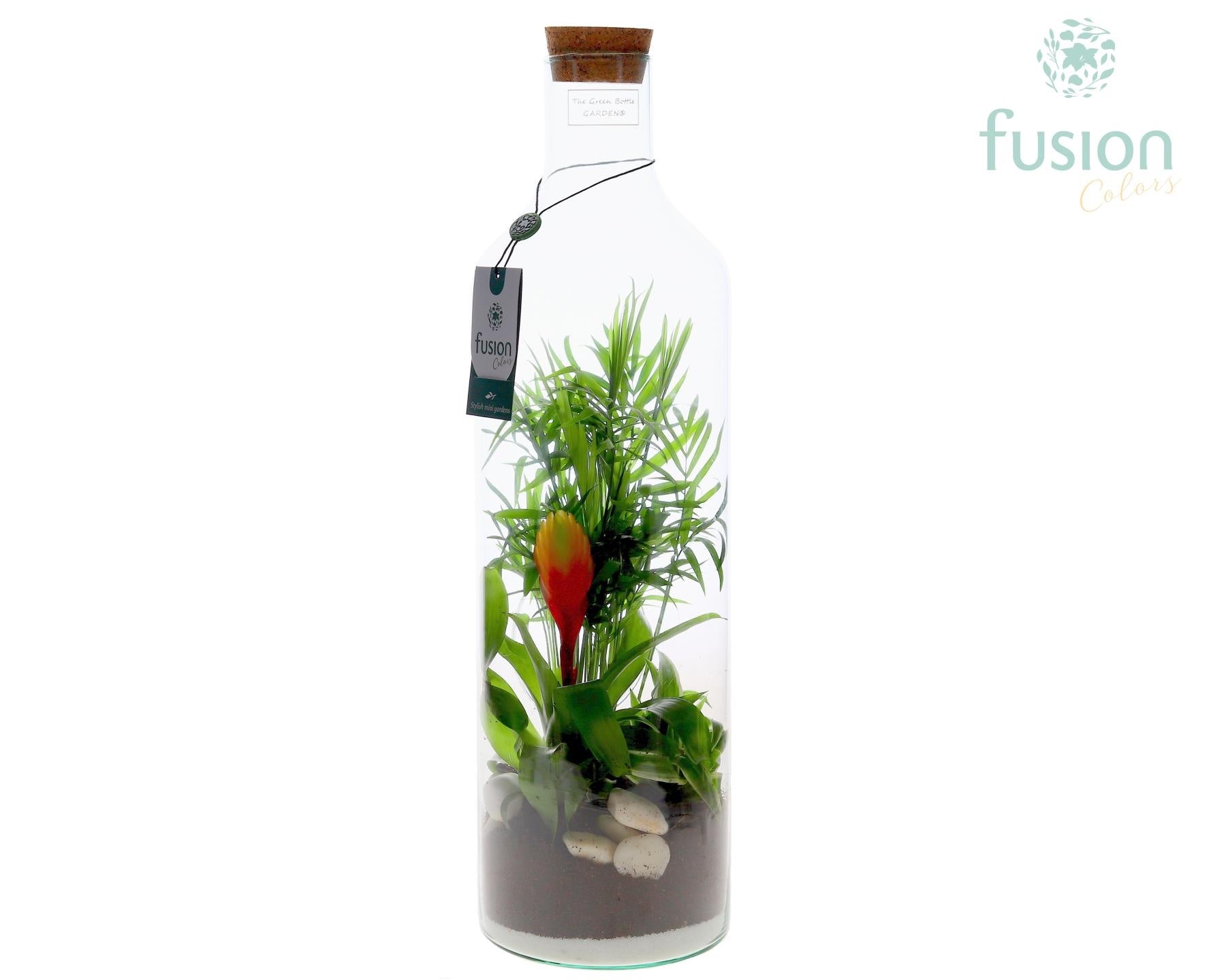 Fusioncolors BV Green Bottle Fles Large met arrangement Pack of 6
