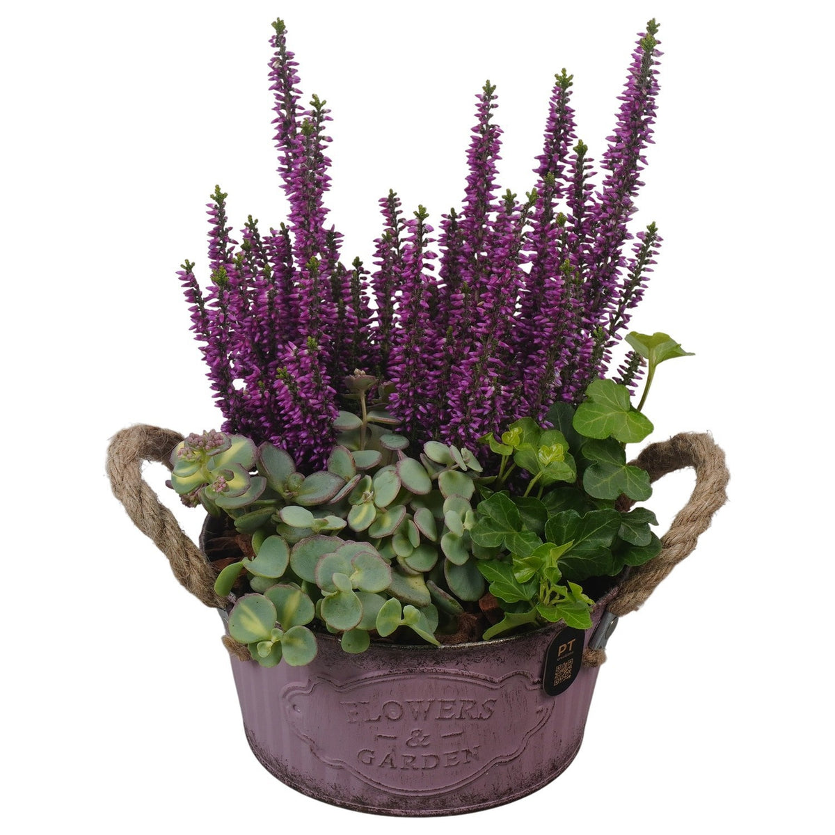 Outdoor arrangement 26cm 16cm Pot