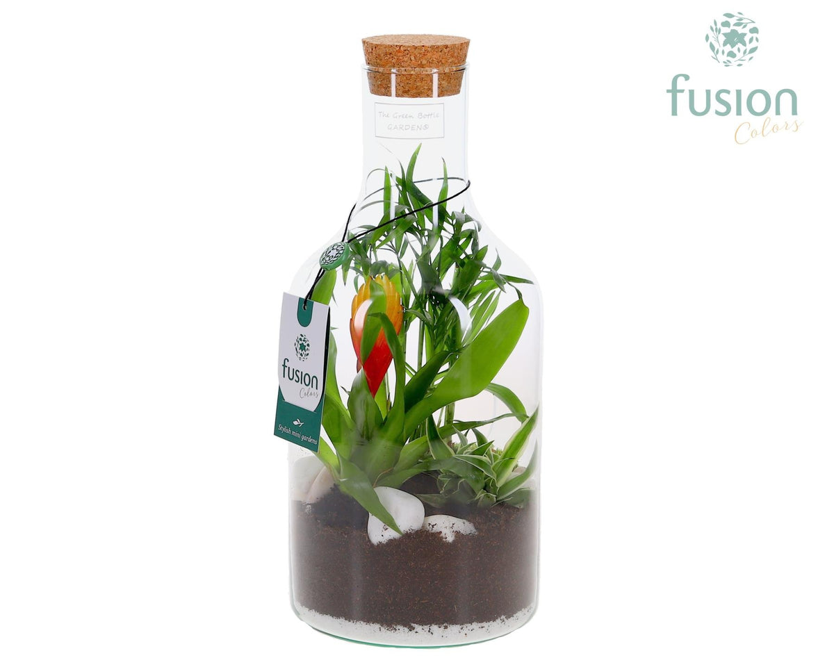 Green Bottle Fles Small met arrangement 35cm 15cm Pot