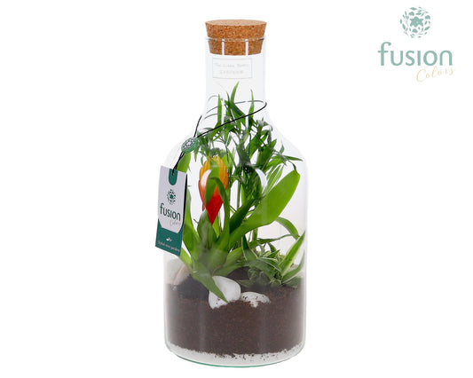 Green Bottle Fles Small met arrangement 35cm 15cm Pot