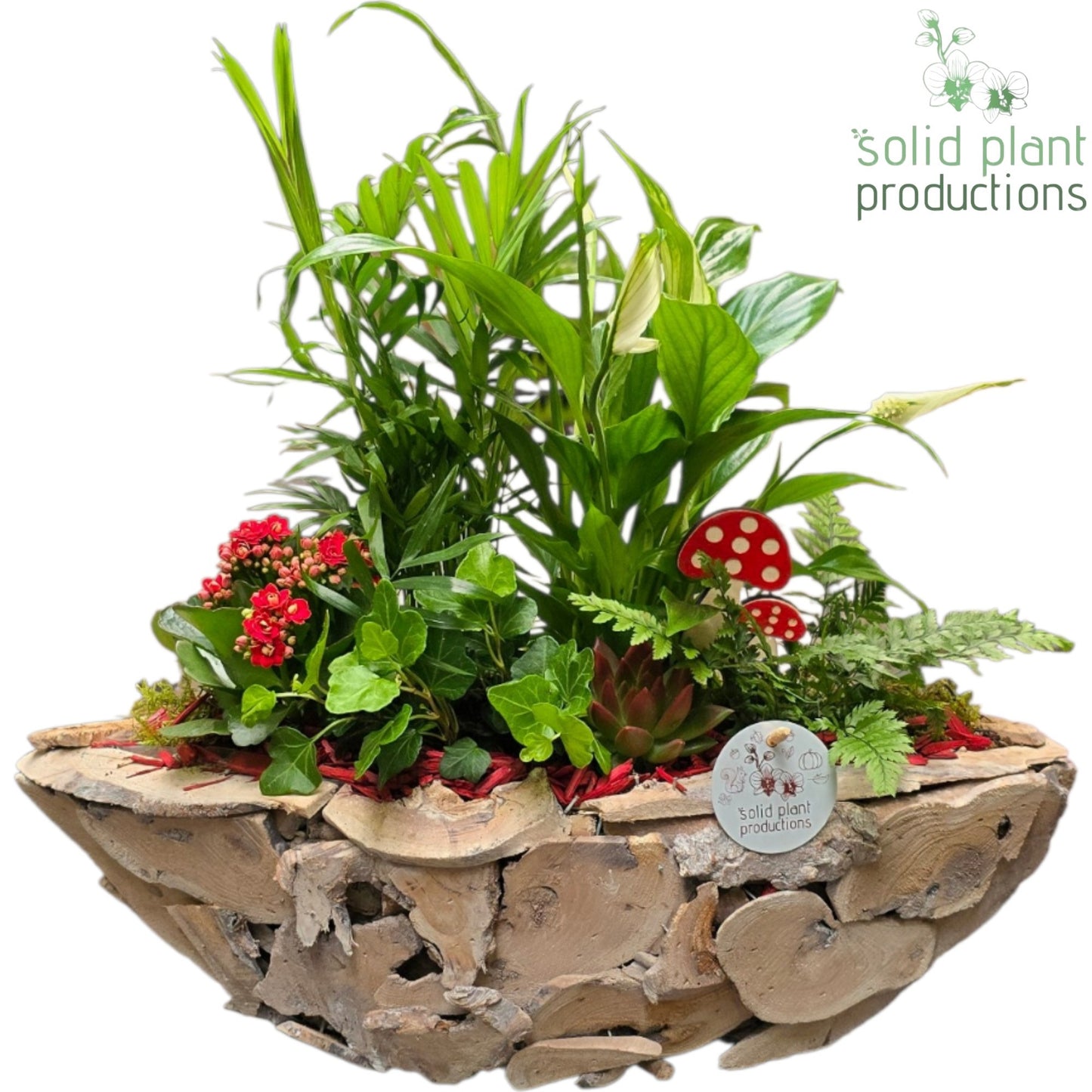 Solid Plant Productions SCE012 Driftwood Boat White Washed Red Autumn Pack of 1