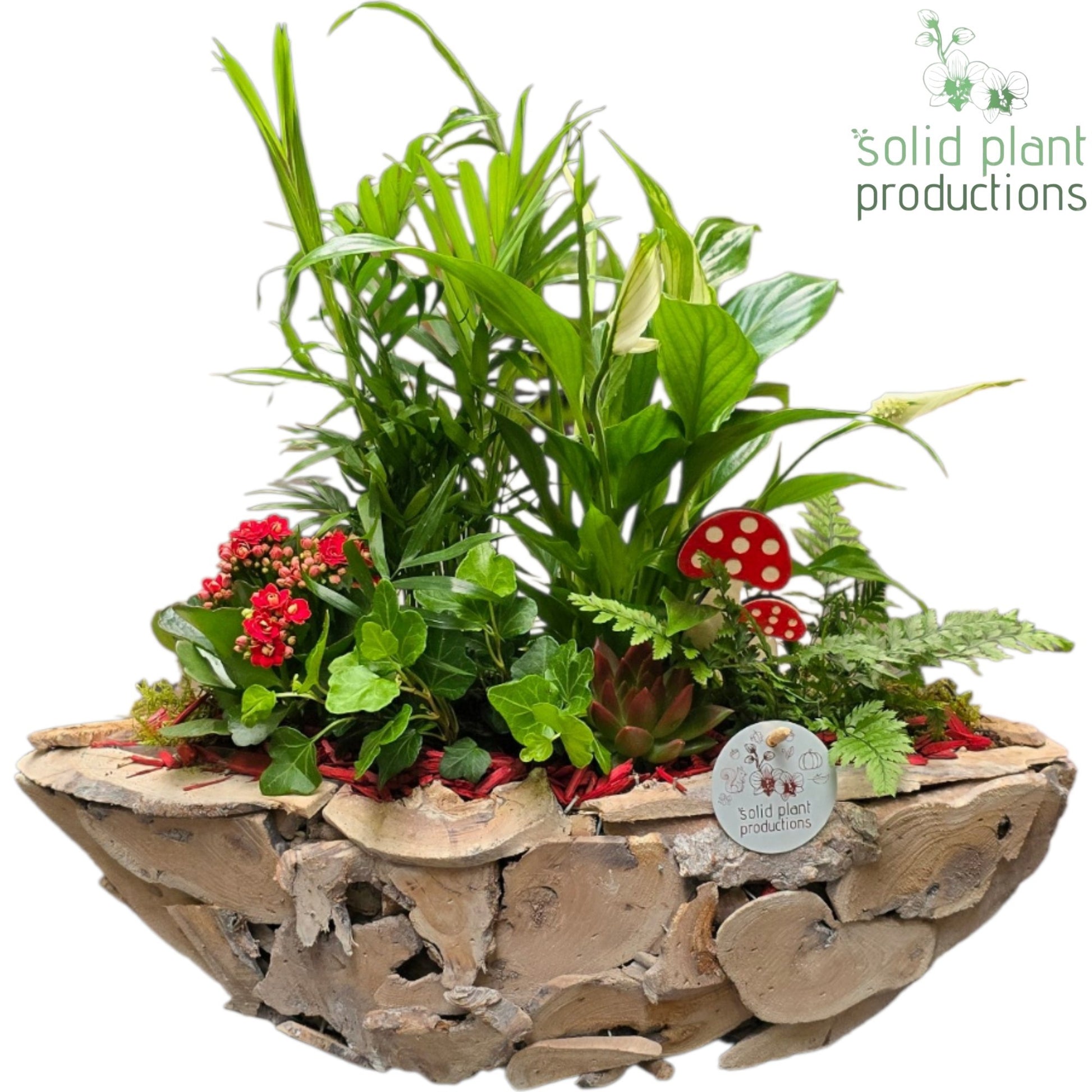 SCE012 Driftwood Boat White Washed Red Autumn 45cm 46cm Pot