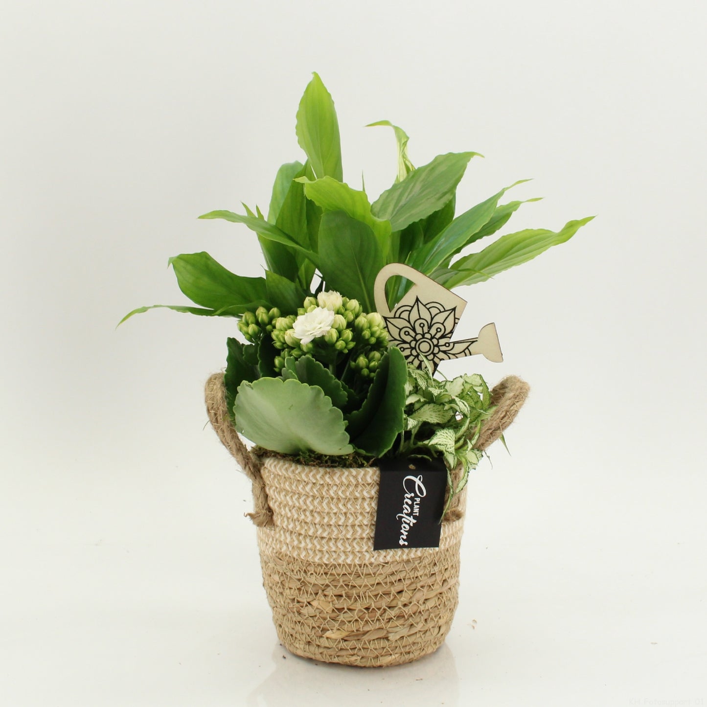 FDCR-2617W Basic Fundamentals 35cm 14cm Pot