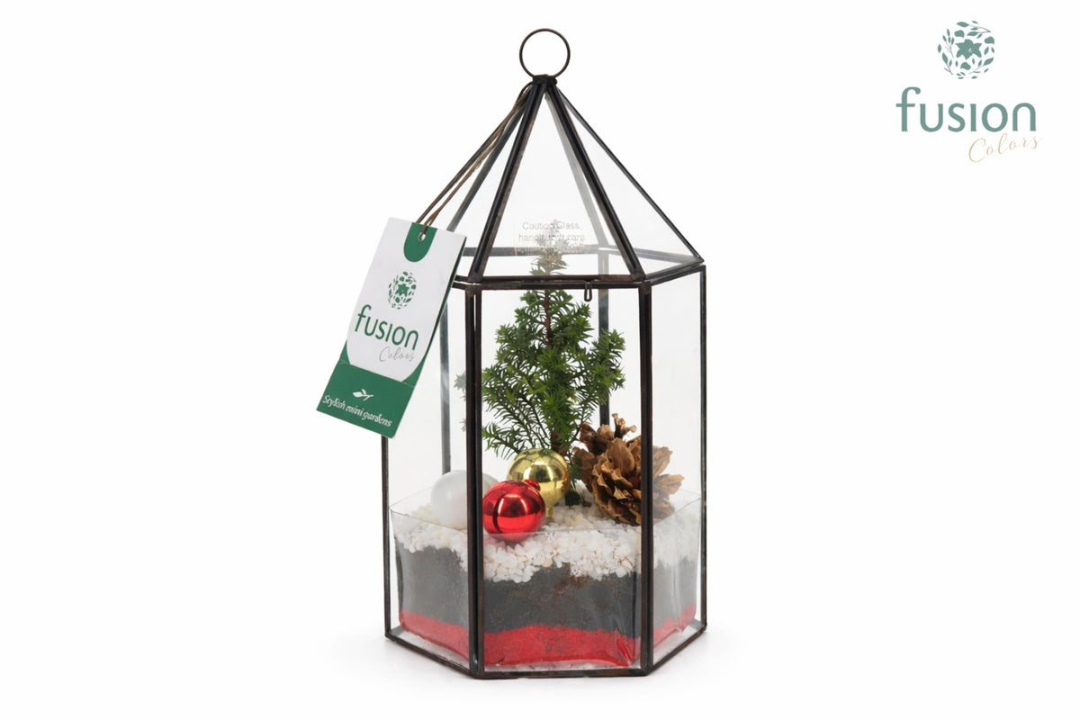 Geometrisch Lantaarn met Kerst arrangement 25cm 14cm Pot